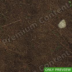 PBR Substance Material of Ground Forest #2